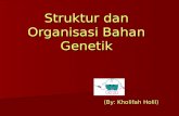 Struktur dan organisasi bahan genetik
