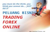 Peluang Bisnis Trading Forex Online