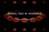 Atom ion-molekul