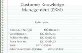 Presentasi 2 customer knowledge management (ckm)