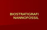Biostratigrafi nanofosil