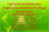 presentasi biolog reproduksi vegetatif kelompok