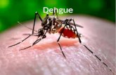 Dengue alana,aline,amanda,tainara