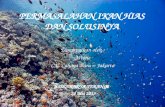 Kondisi ikan Hias Indonesia dan Tantangannya