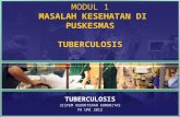 Masalah Kesehatan di Puskesmas: Tuberculosis Kekom