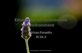 Education for sustainable environment