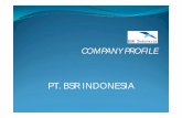 Presentasi BSR Indonesia - Penyedia Tenaga Kerja