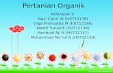 Pertanian Organik (Organic Agriculture)