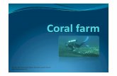 Coral Farm
