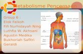Metabolisme sistem pencernaan makanan
