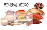 mineral mikro