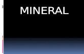 Sap 02 mineral