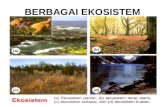 Berbagai Ekosistem