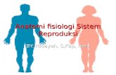 Anatomi fisiologi sistem reproduksi