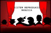 Sistem reproduksi manusia 1
