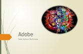 Sejarah Adobe & beberapa aplikasi yang sekarang dimilikinya.