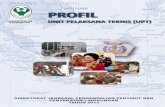 Profil UPT (Unit Pelaksana Teknis) Ditjen PP dan PL 2013 v2