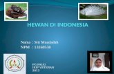pengenalan hewan di Indonesia
