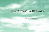 Organisasi dan birokrasi (8)