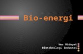 Minggu 11 biofuels