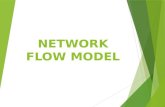 Network Flow Model