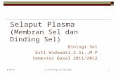 ITP UNS SEMESTER 1 selaput plasma (membran sel dan dinding sel)