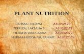 Plant nutrition Ion Uptake
