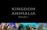 Kingdom animalia bag. 1