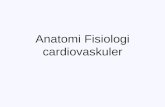 Anatomi fisiologi cardiovaskuler