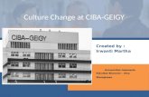 Culture Change at Ciba-Geigy
