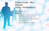 Kelompok 4 bst yodo-yodi