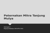 Magang Peternakan Tanjung Mulya unit Cicalengka