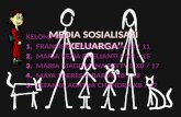 Sosiologi : Media sosialisasi
