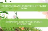 Struktur dan fungsi tubuh tumbuhan