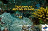 Biologi Karang