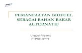Biofuel sbg bhn_bakar_alternatif3