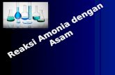 Reaksi Amoniak dengan Asam