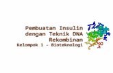 Pembuatan Insulin dengan Teknik Rekombinasi DNA