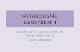 Metabolisme karbohidrat II