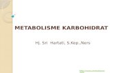 Metabolisme karbohidrat@