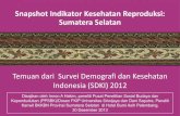 Snapshot SDKI 2012 disajikan oleh Imron A Hakim dan Dani Saputra