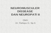 Neuromusculer d dan neuropati 2