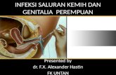 Infeksi saluran kemih dan genitalia