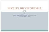 3 4 fadlullah ennycke_siklus biogeokimia