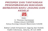 Prospek Jagung & Kedela Kadin (Thomas Dharmawan)