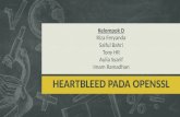HeartBlead Pada Open SSL