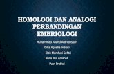Homologi dan analogi perbandingan embriologi presentasi