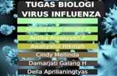 Virus influenza