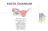 Contoh kista ovarium