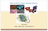 Metabolisme mikrobial
